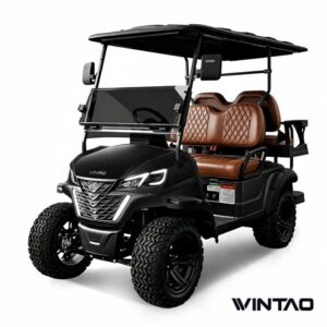 Aurora 30