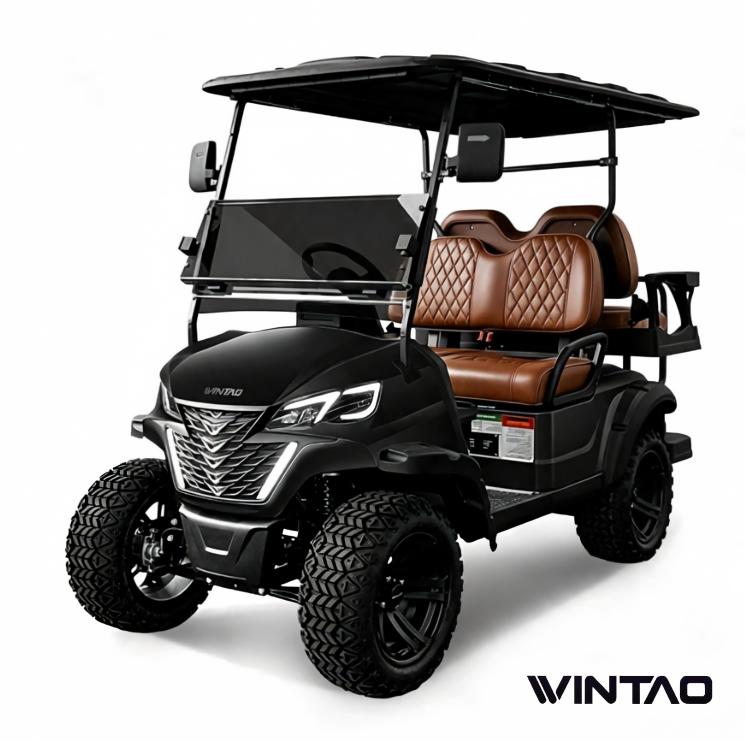 Wintao-EV-Aurora-30-electric-golf-cart-black