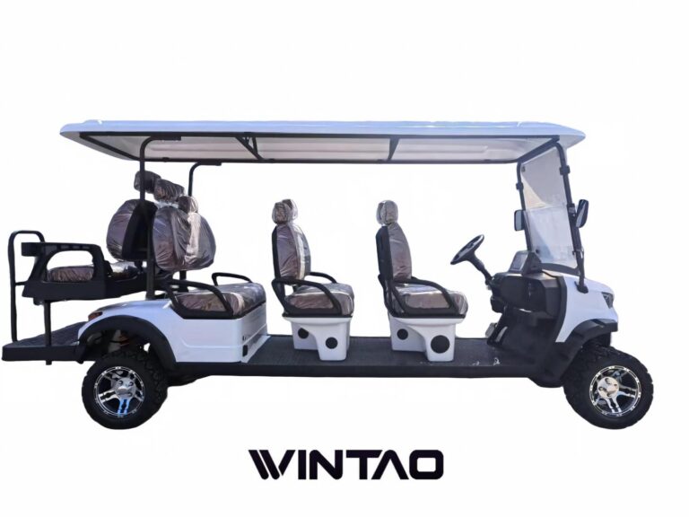 Wintao-EV-Aurora-30-electric-golf-cart-gray-side-view